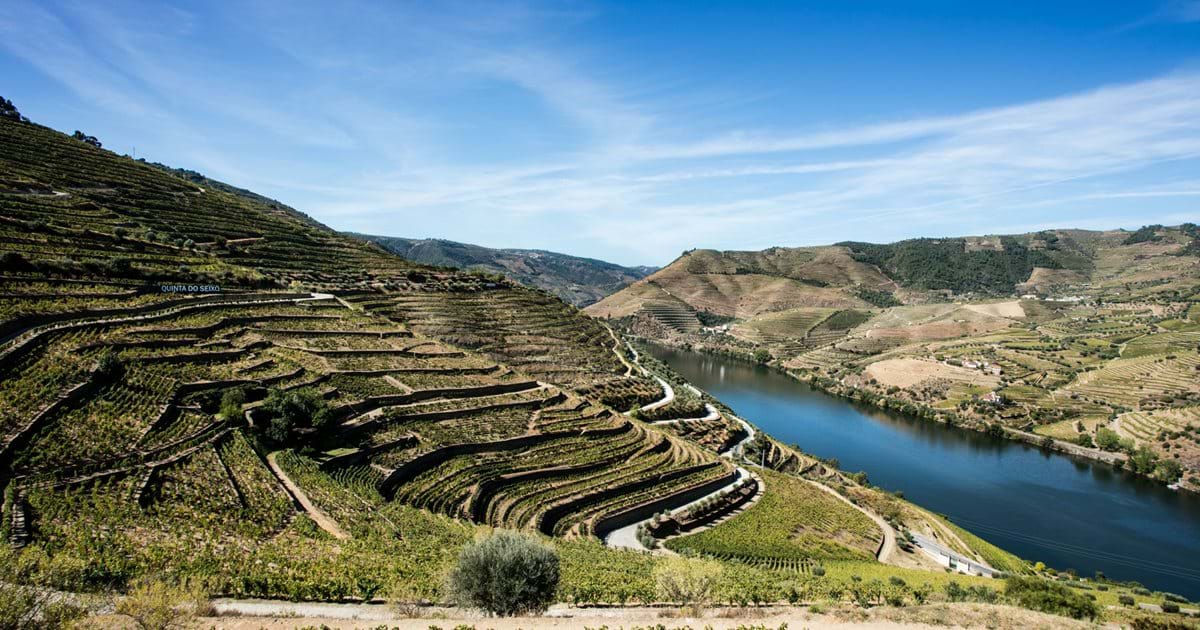 Douro Valley Landscape