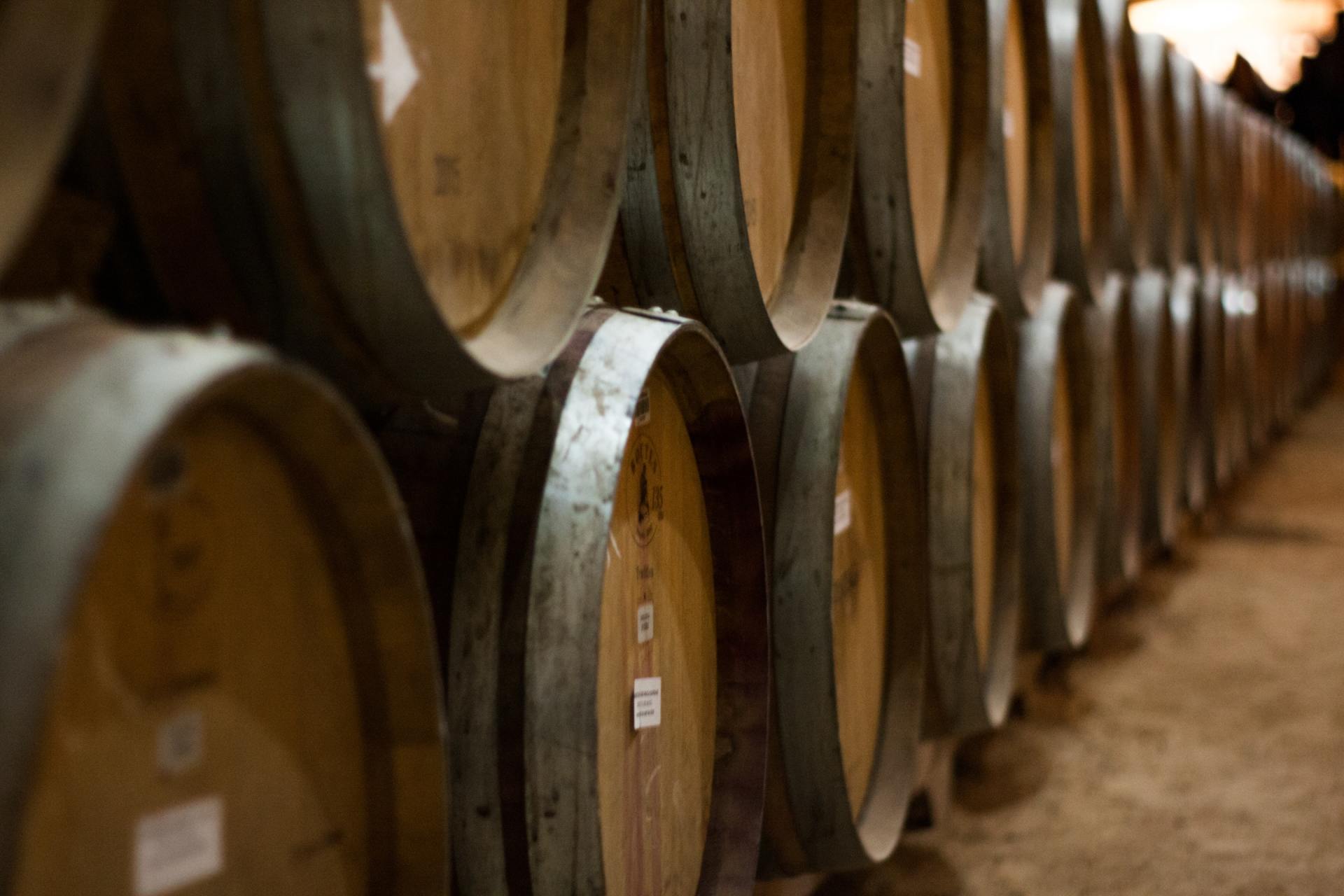 PROVA DE VINHOS